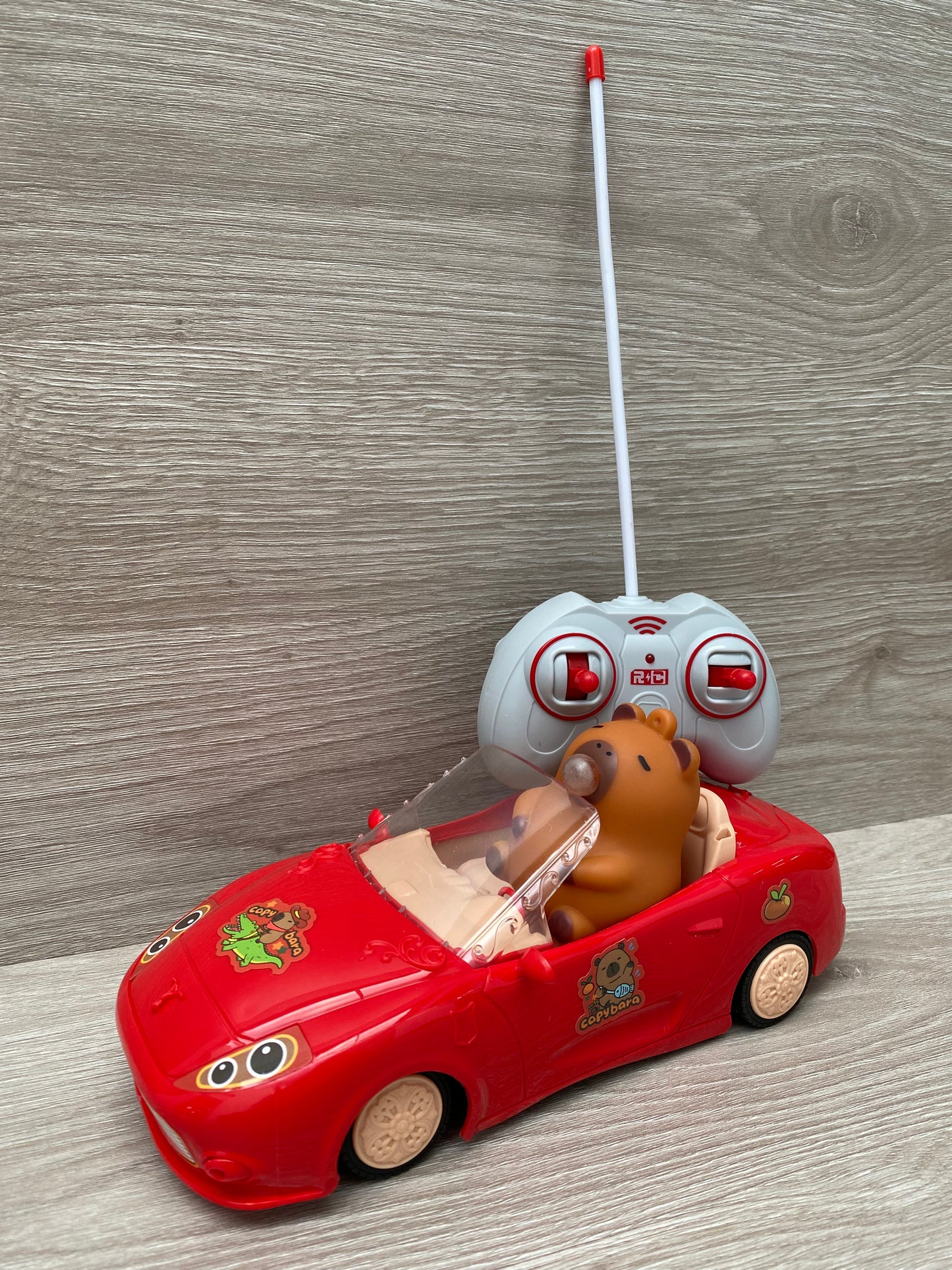 CARRO CAPIBARA A CONTROL REMOTO🚗💨