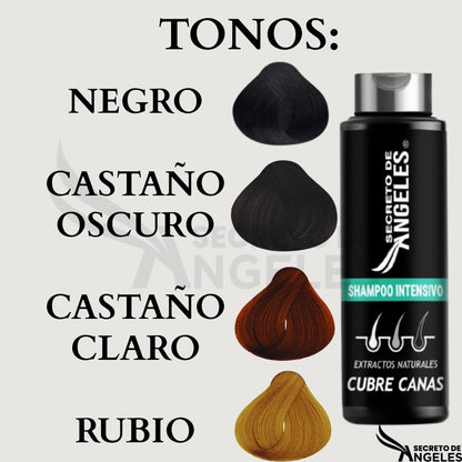 Shampoo Cubrecanas + 2 obsequios